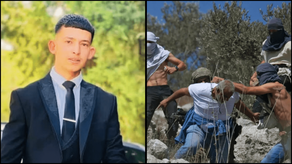 Israeli settler kills Palestinian teenager in West Bank