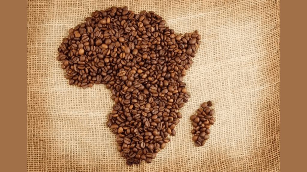 Africa hits record coffee exports as Ethiopia and Uganda lead