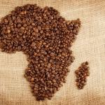 Africa hits record coffee exports as Ethiopia and Uganda lead