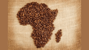 Africa hits record coffee exports as Ethiopia and Uganda lead
