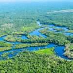 Amazon communities fight for land recognition to protect forests