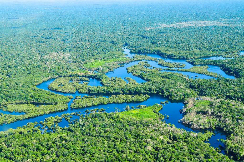 Amazon communities fight for land recognition to protect forests