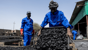 Chad’s five-year economic plan leans on Gulf investment