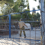 Israeli settlers attack West Bank Bedouins