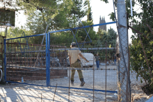 Israeli settlers attack West Bank Bedouins