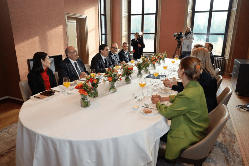 Netherlands backs Moroccan autonomy plan in Western Sahara