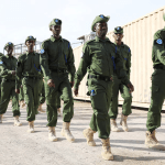 Somalia says it killed 29 al-Shabaab militants